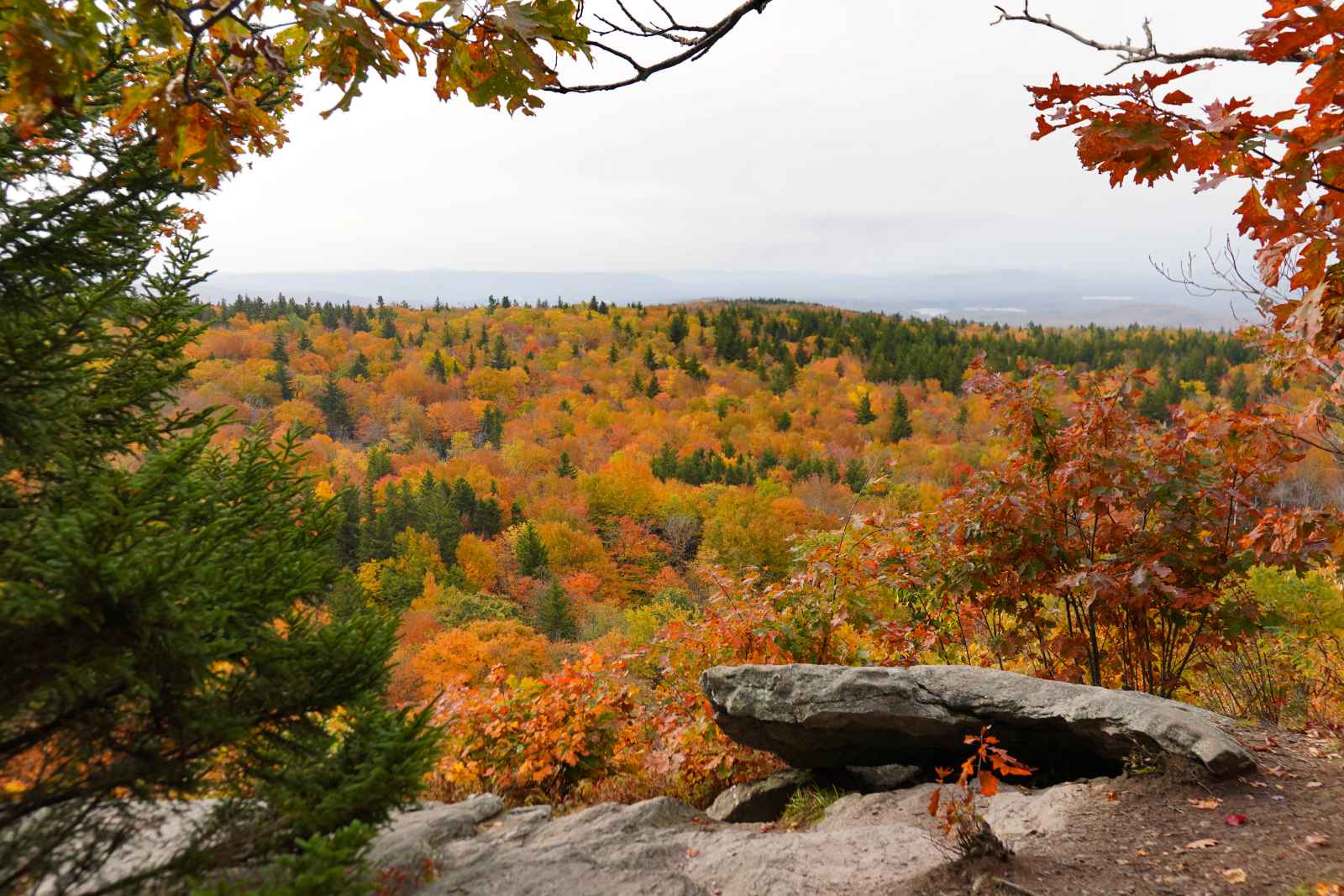 Las mejores excursiones de un día desde la reserva de Boston Blue Hills