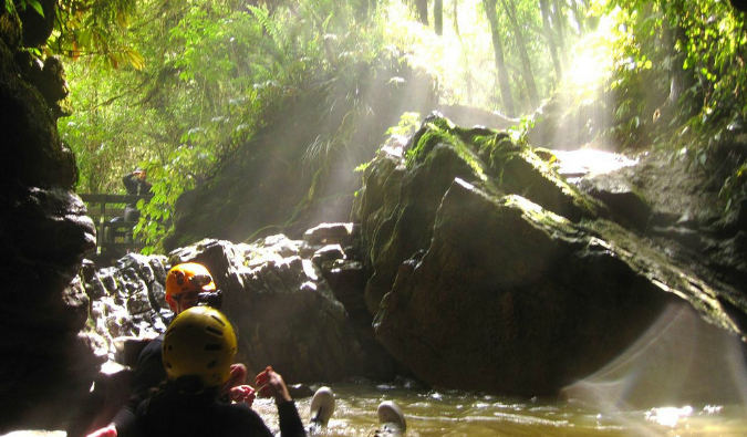 Gusanos brillantes Waitomo