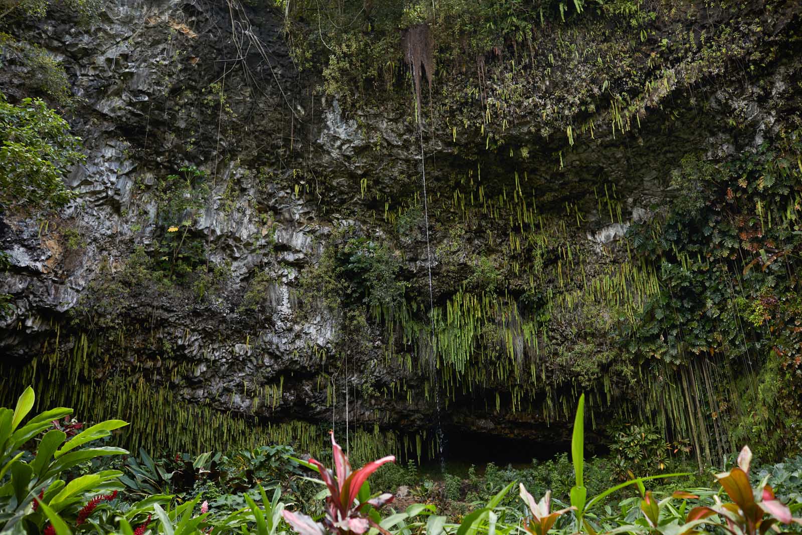 Las mejores cosas que hacer en Kauai Fern Grotto