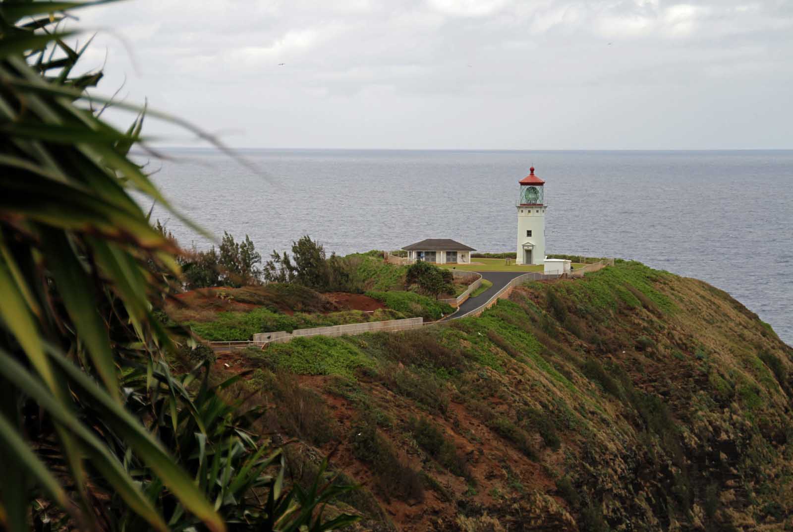 Las mejores cosas que hacer en el faro de Kauai Kilauea en la costa norte de Kauai