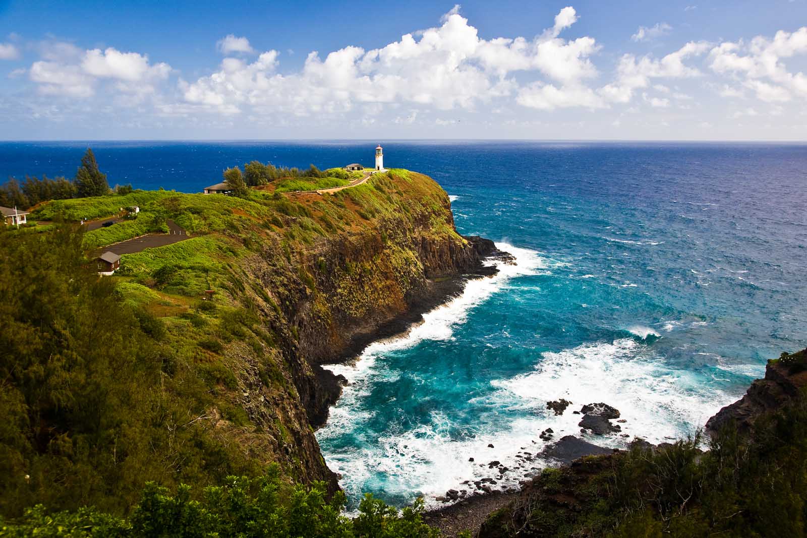 Las mejores cosas que hacer en Kauai Kilauea Point National Wildlife Refuge