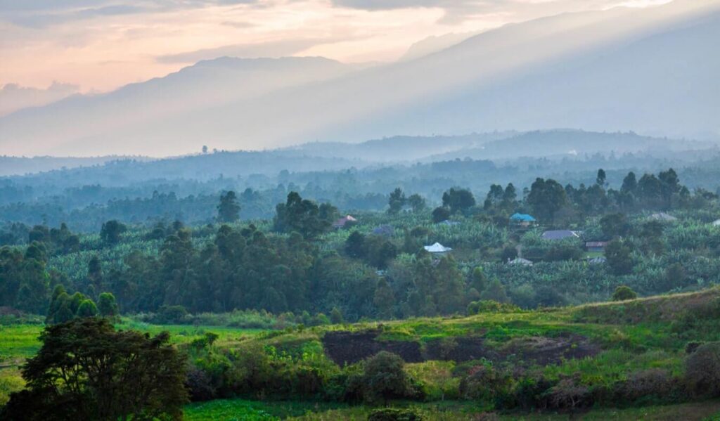 Cómo viajar a Uganda con un presupuesto