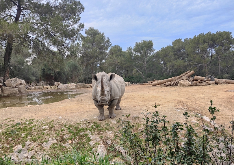 Zoo de Montpellier