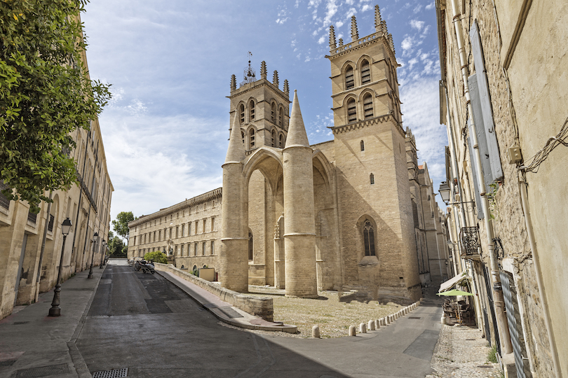 Catedral de San Pedro