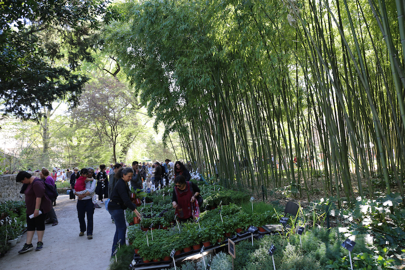 Jardin des Plantas