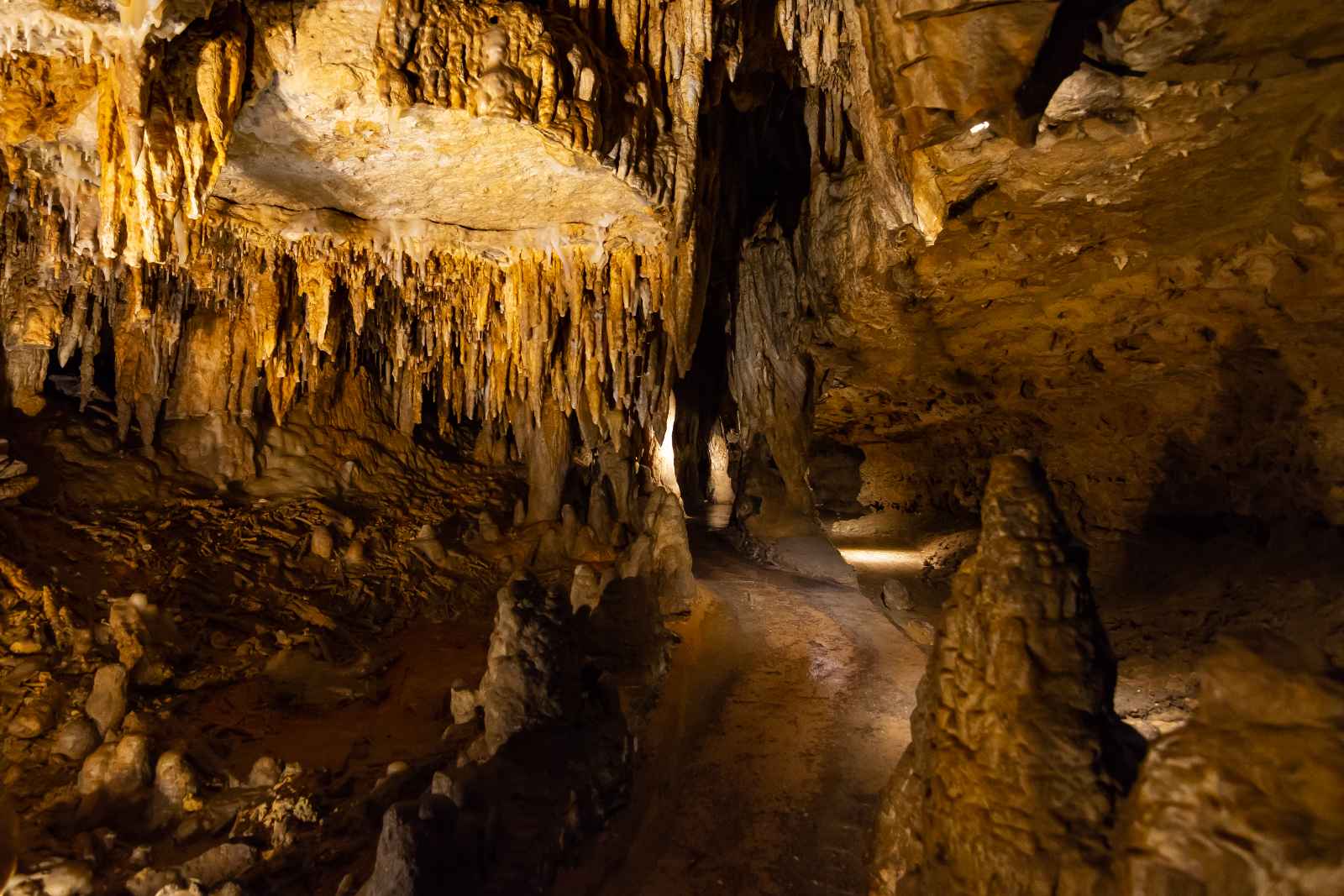 Las mejores cosas que hacer en Wisconsin Cave of the Mounds