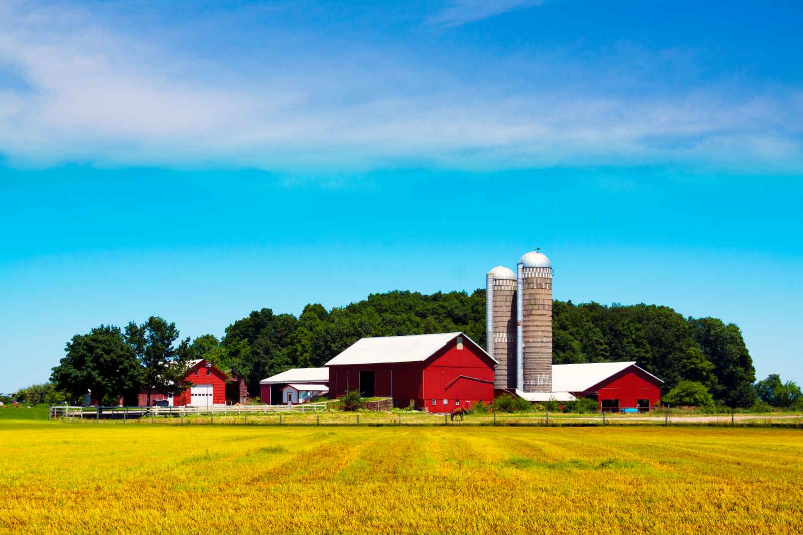 Preguntas frecuentes sobre las mejores cosas que hacer en Wisconsin