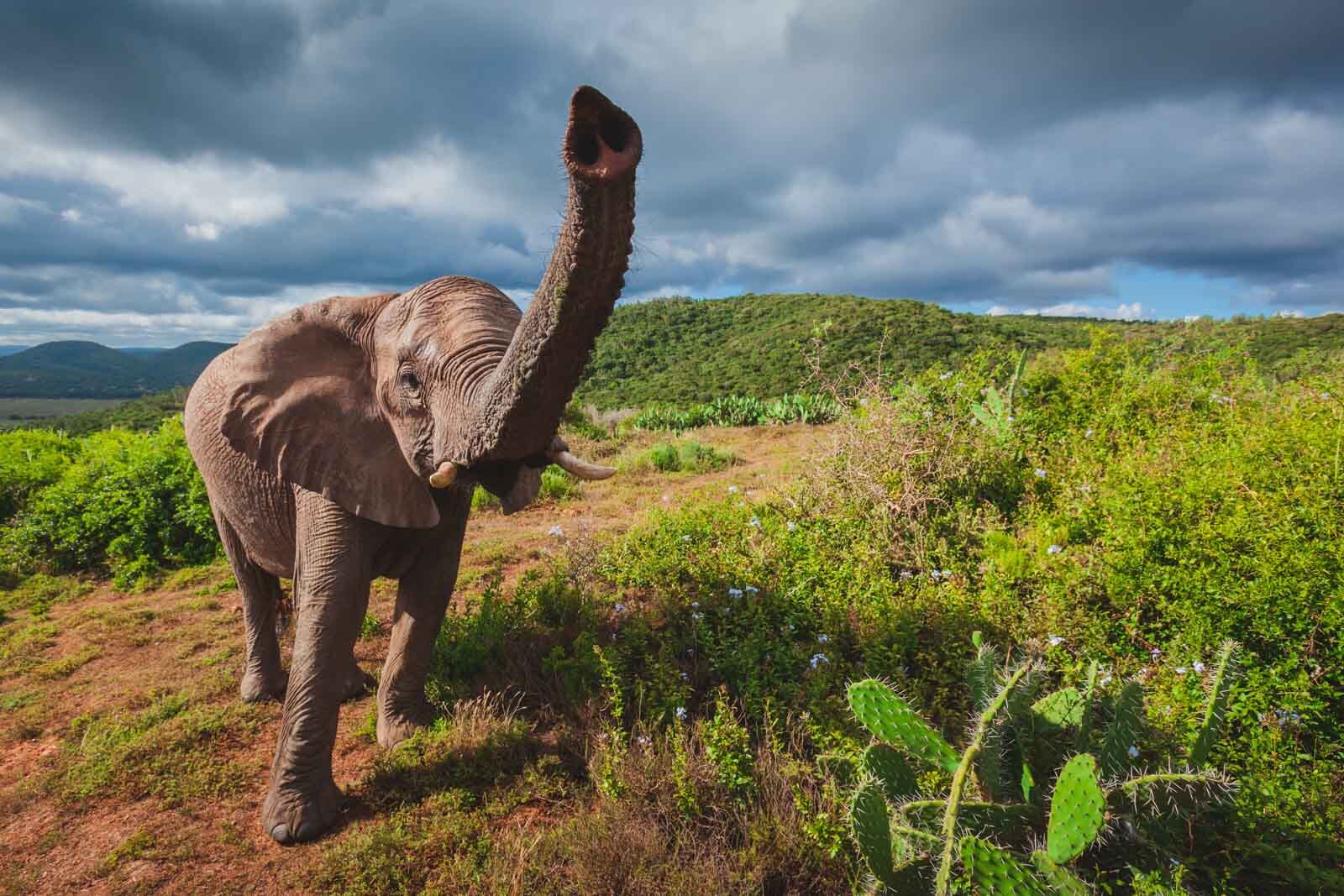 Los mejores destinos de luna de miel en Sudáfrica