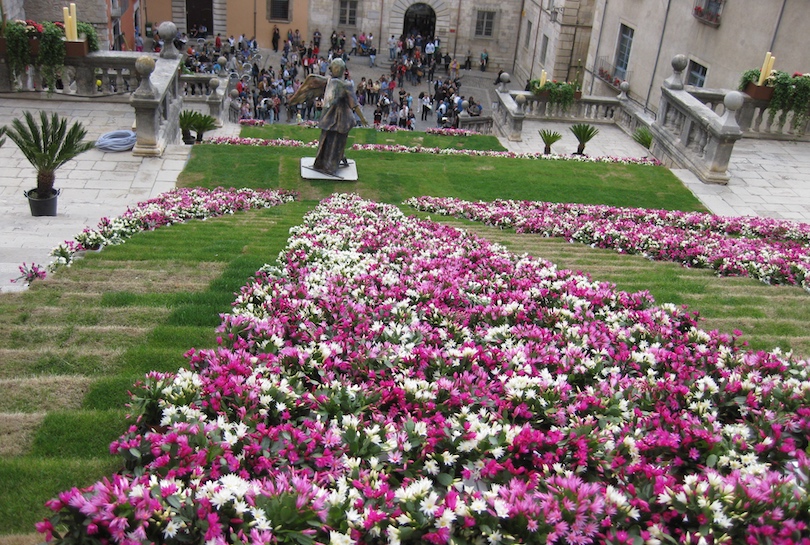 Fiesta de la Flor