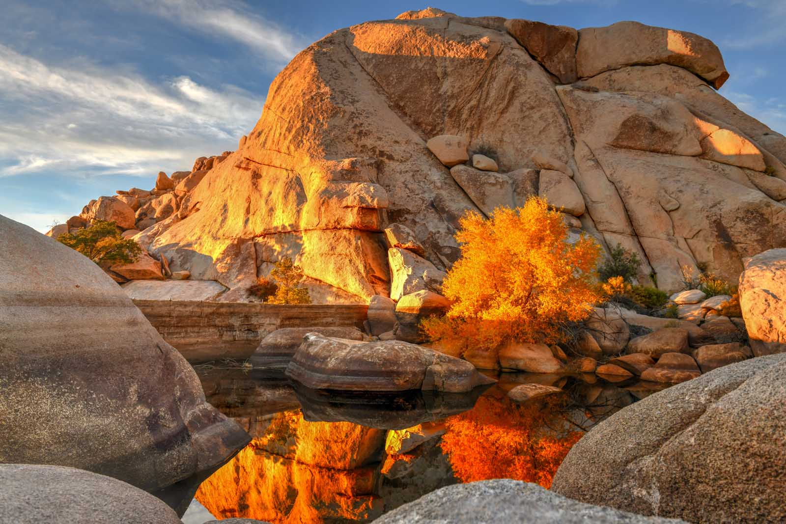 Las mejores excursiones de un día desde el Parque Nacional Joshua Tree de Los Angeles