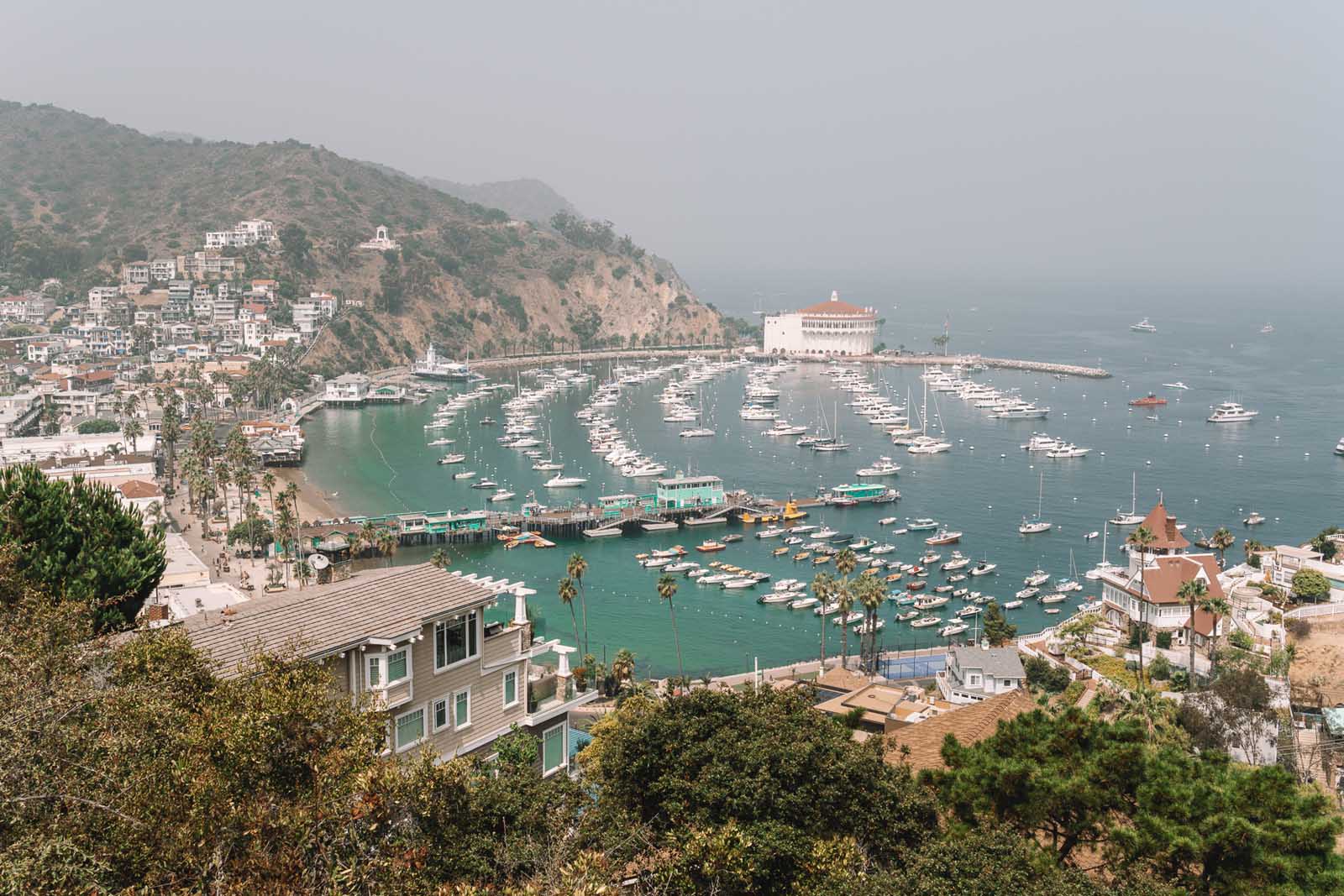 Las mejores excursiones de un día desde la isla de Santa Catalina de Los Angeles