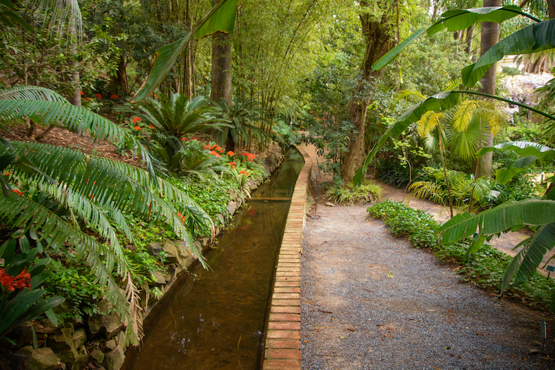 Jardín Botánico Histórico La Concepción