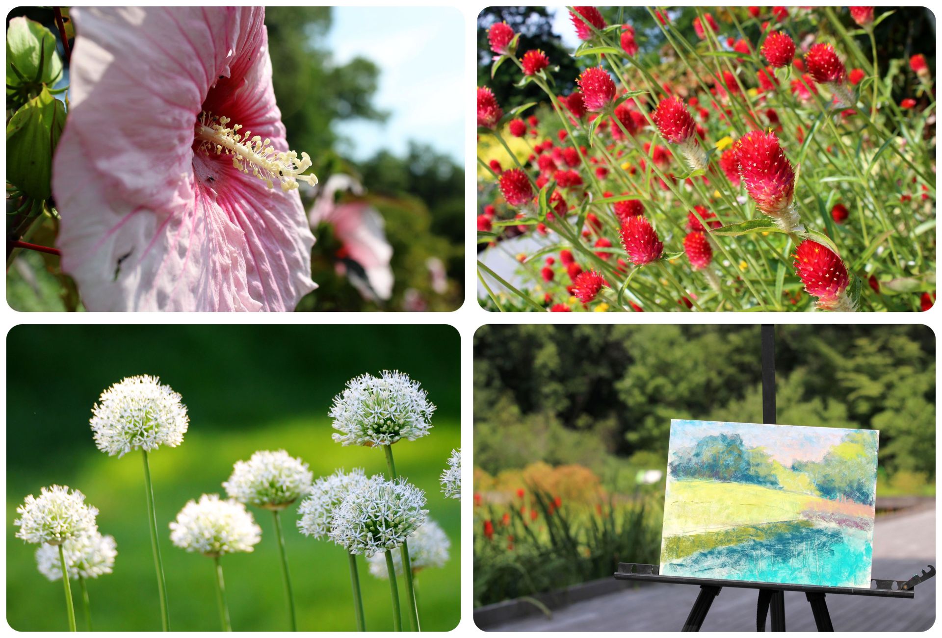 Jardín Botánico de Nueva York