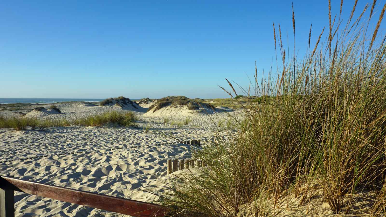 Las mejores playas de Portugal Praia de Sao Jacinto