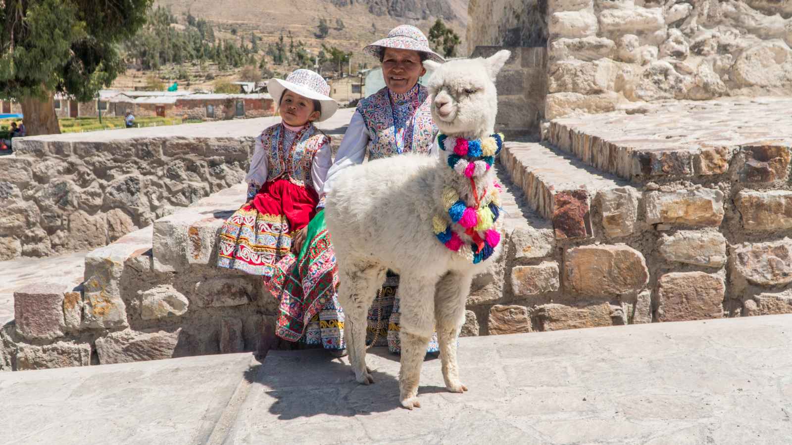 Hechos sobre los valores familiares de Bolivia