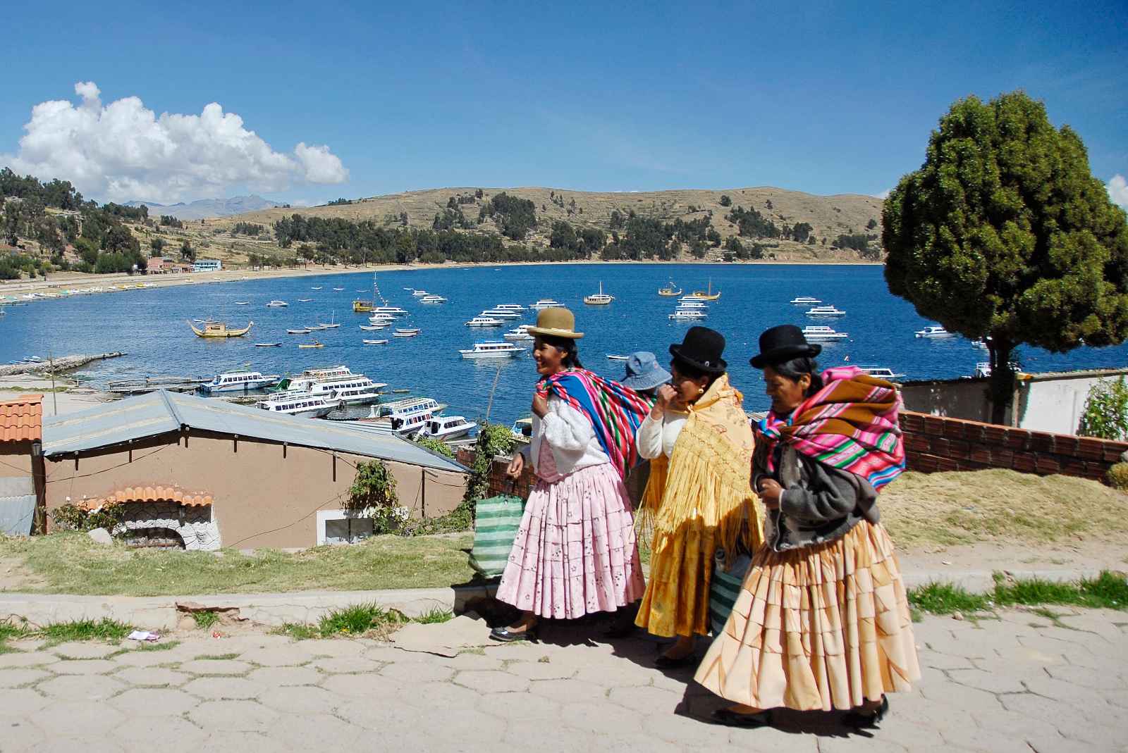 Hechos sobre Bolivia La falda de Pollera