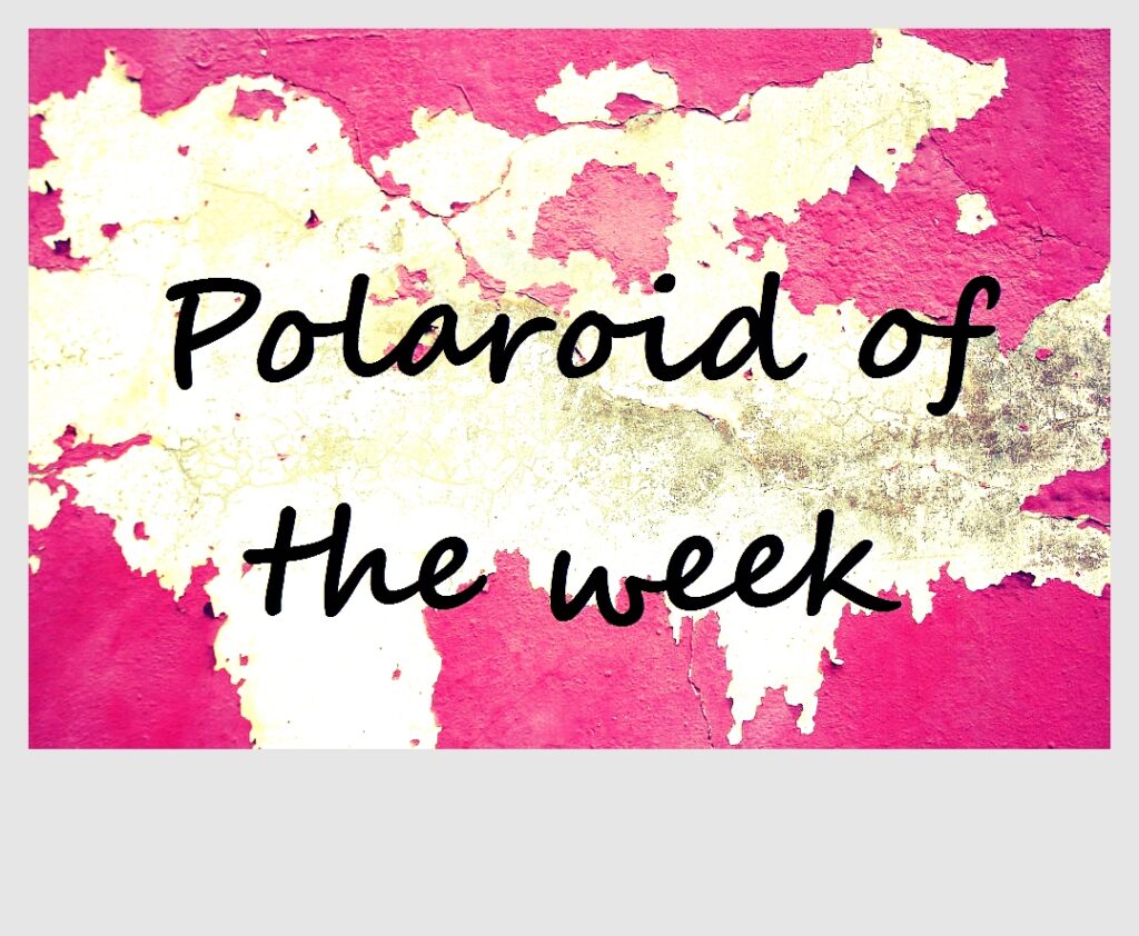 Polaroid of the week: Love lock madness in Cologne, Germany