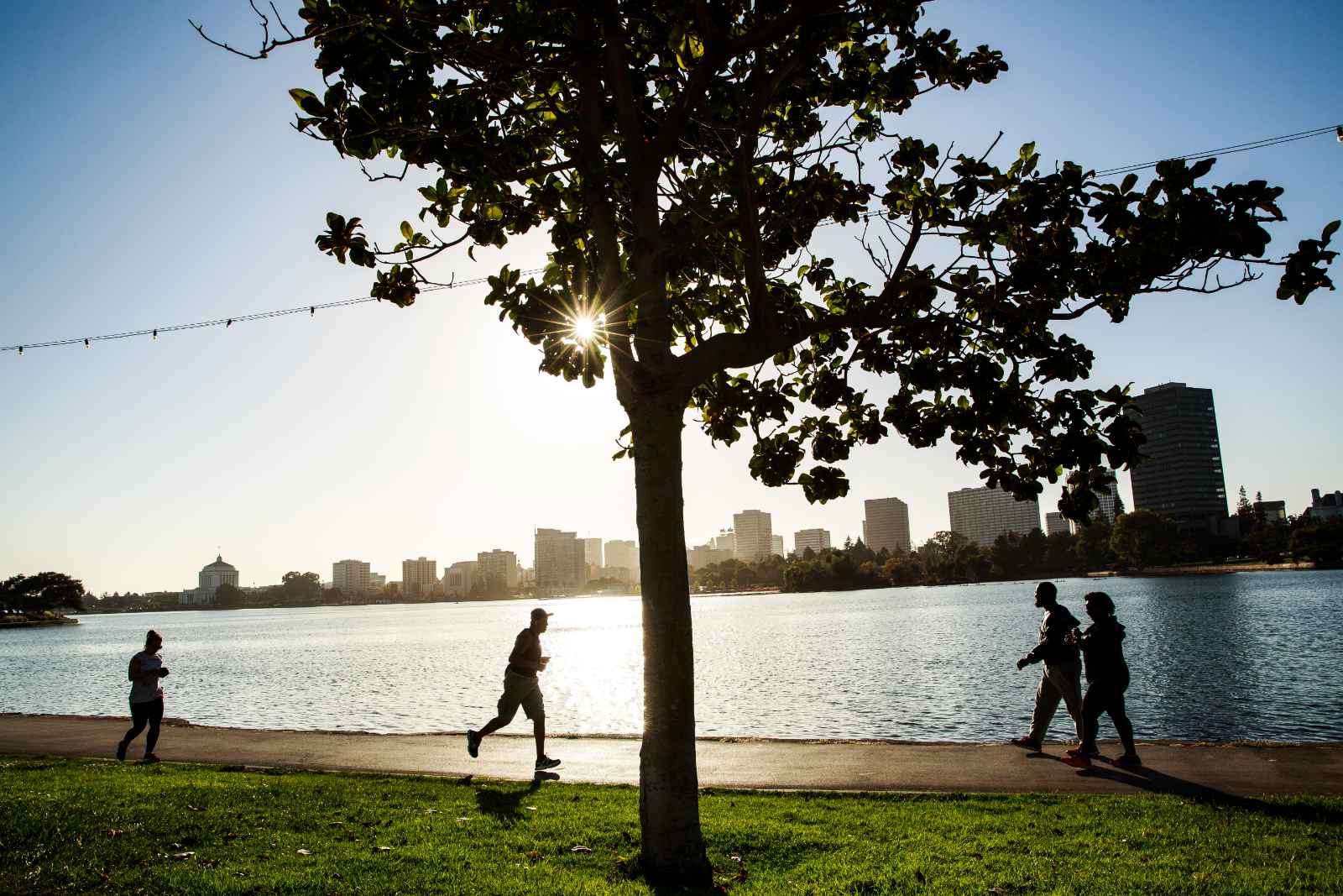 Las mejores excursiones de un día desde San Francisco Oakland