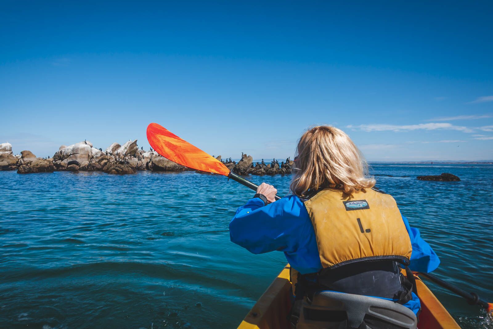 Las mejores excursiones de un día desde el acuario de la bahía de Monterey de San Francisco