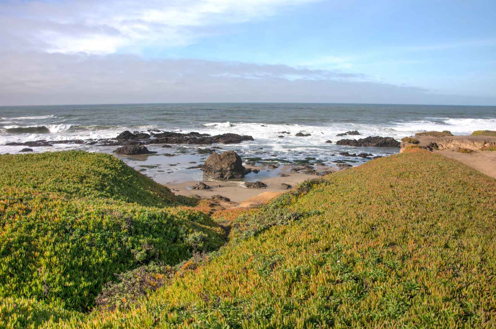 Las mejores excursiones de un día desde la playa estatal de San Francisco Pescadero