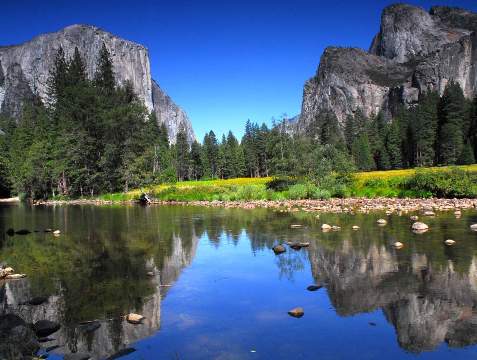 las mejores excursiones de un día desde el parque nacional de san francisco yosemite