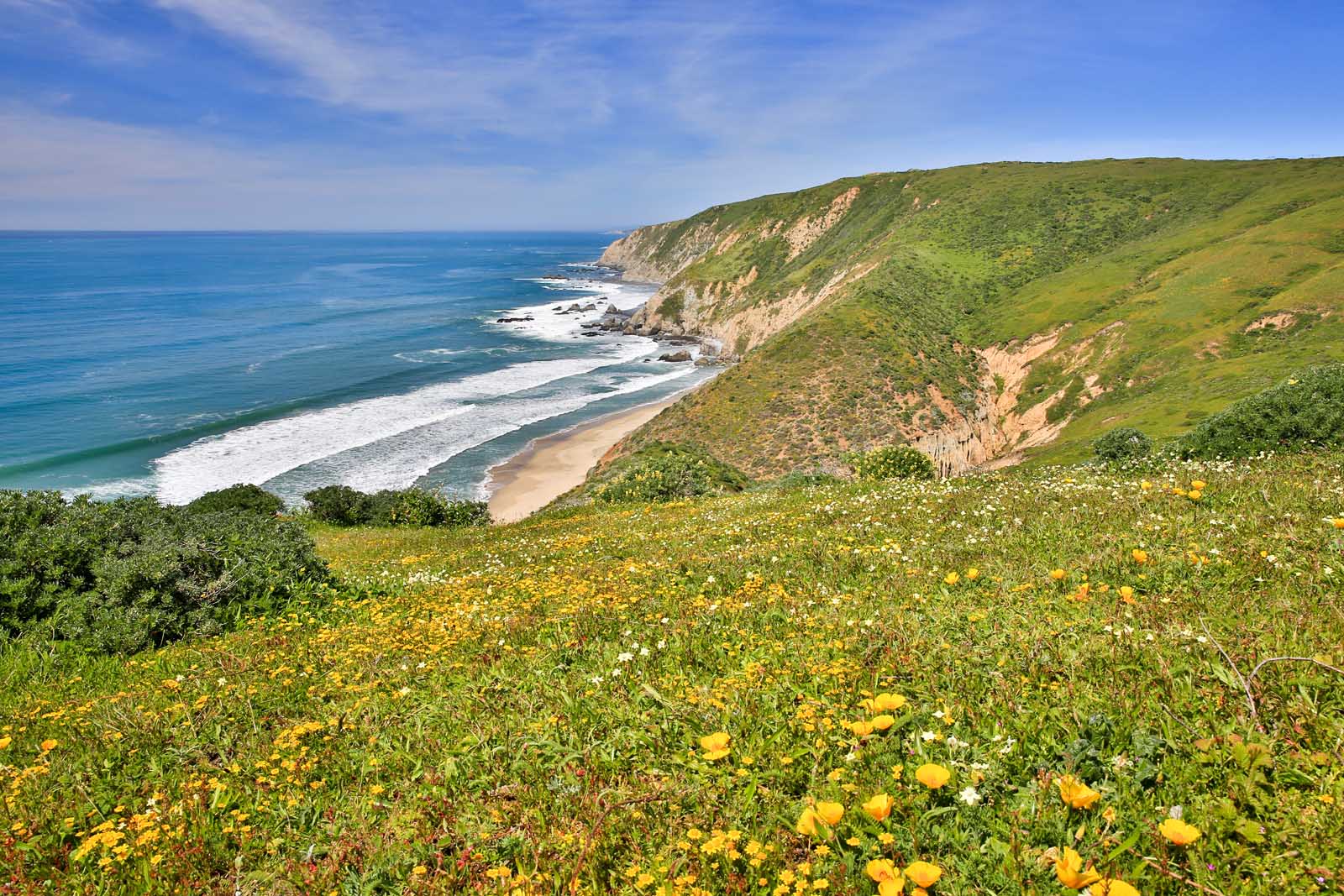 Excursiones de un día desde San Francisco Point Reyes National Seashore