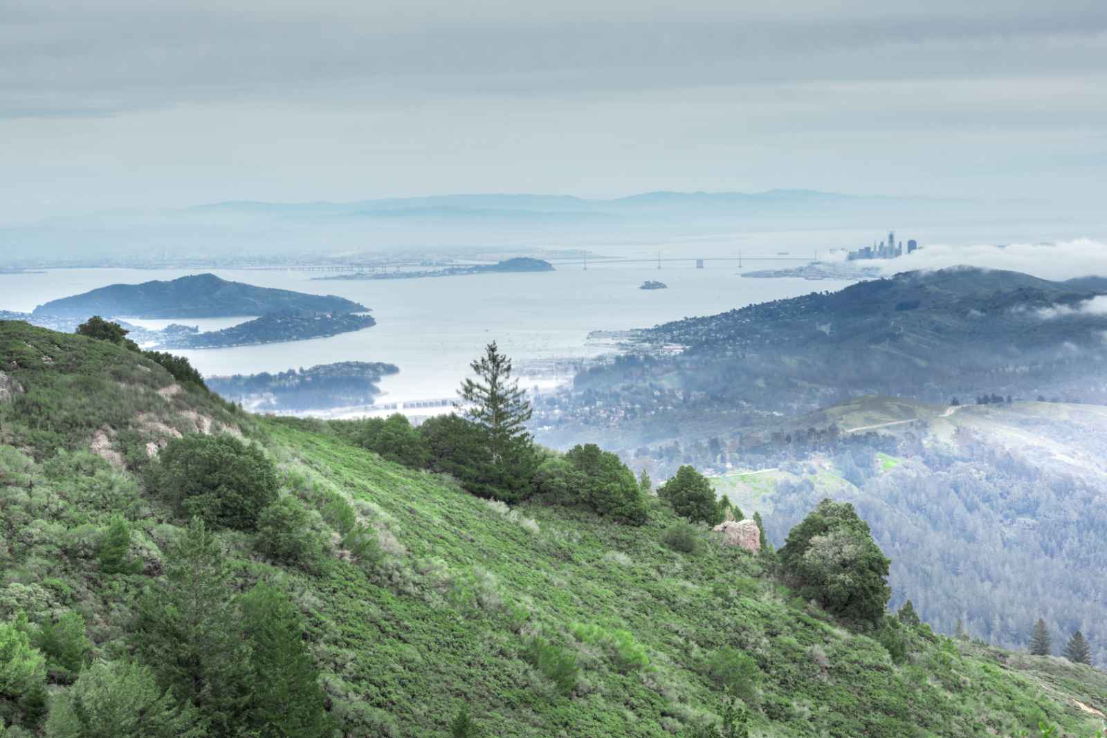 Las mejores excursiones de un día desde San Francisco Mount Tamalpais