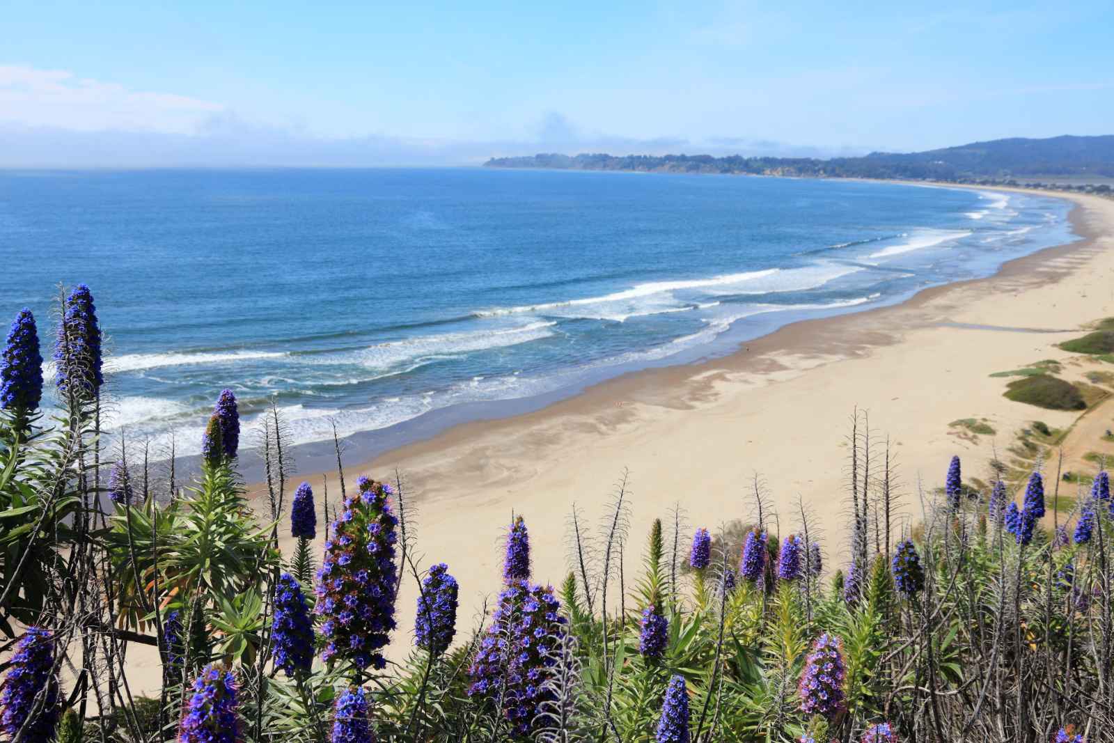 Las mejores excursiones de un día desde la playa de San Francisco Stinson