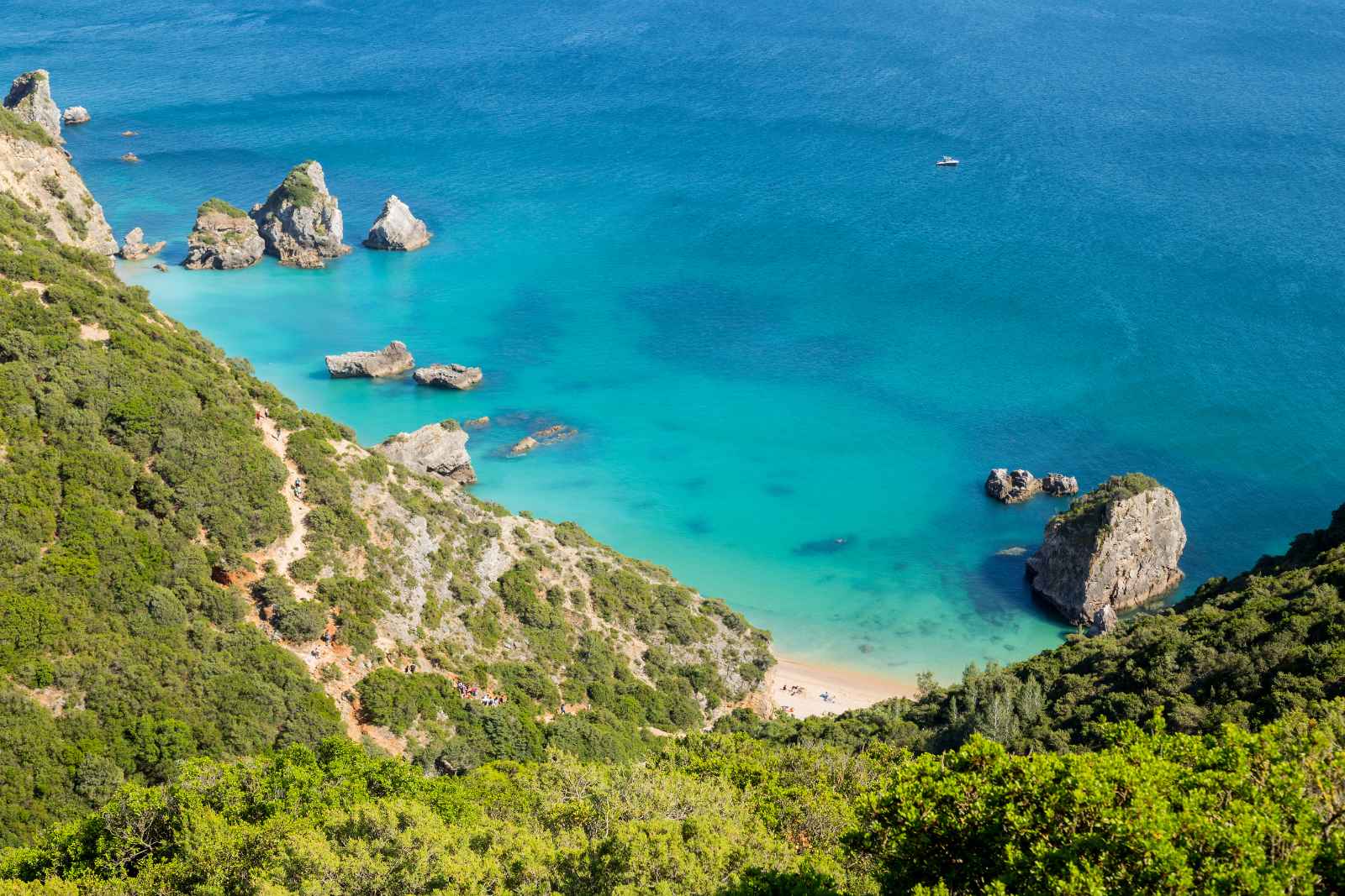 Las mejores excursiones de un día desde el Parque Nacional de Lisboa de Arrábida Setubal