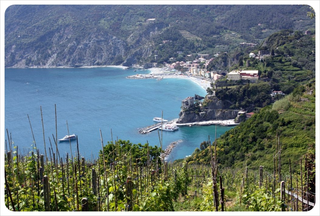 Viñedos de Cinque Terre y vistas a Monterosso