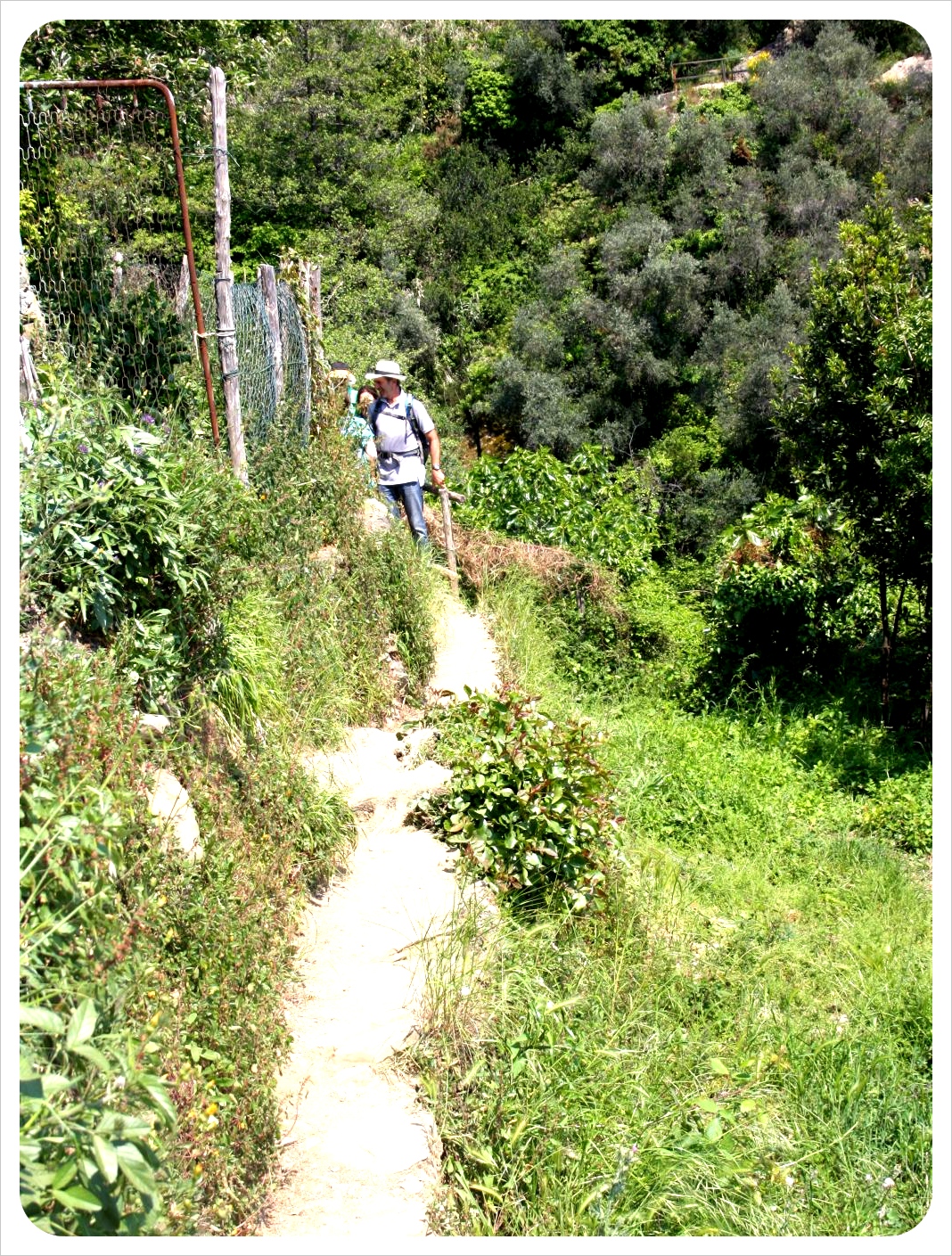 Camino de las Cinque Terre