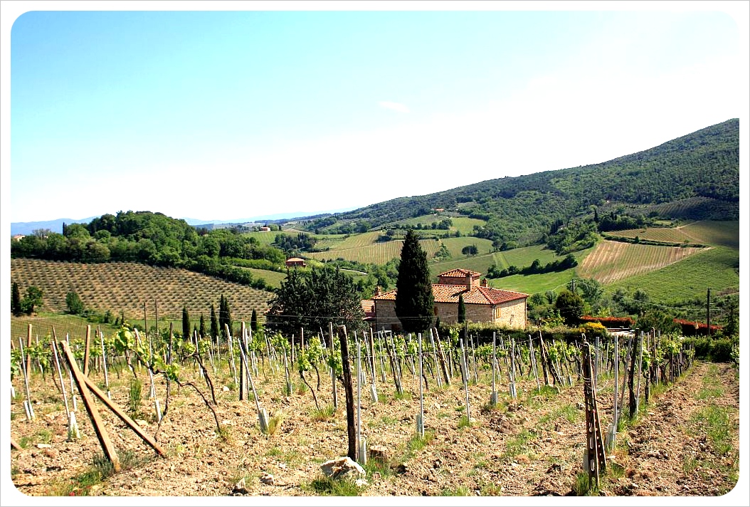 vino in chianti