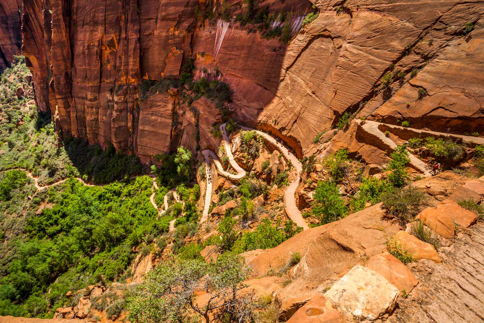 mejores excursiones en el parque natoinal de zion utah Angels Landing 