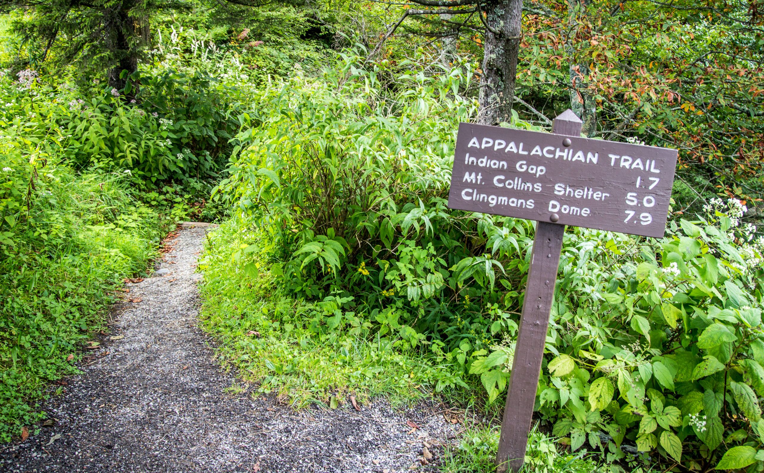 mejores excursiones del mundo Appalachian Trail