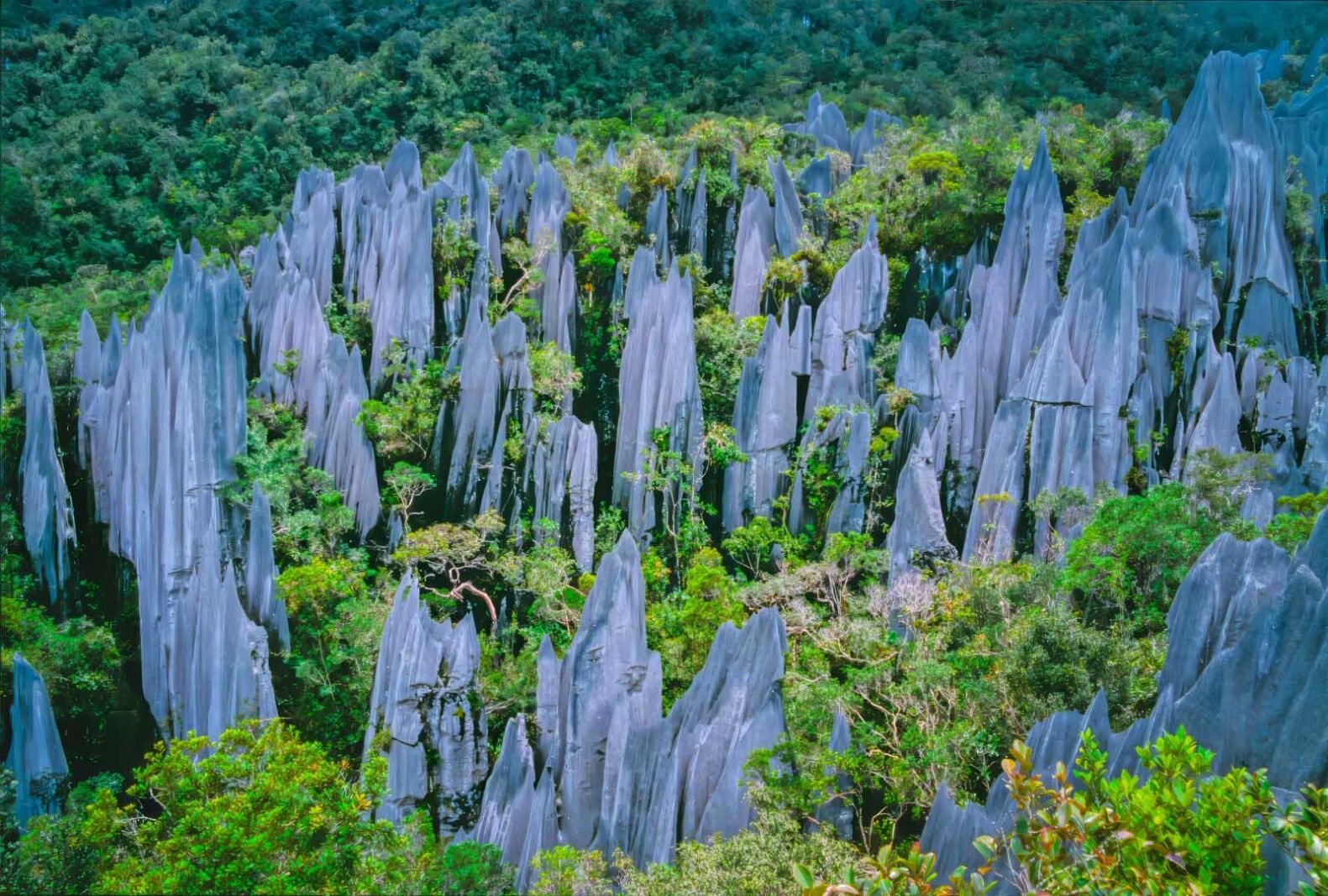 las mejores excursiones del mundo sendero de cazadores de cabezas