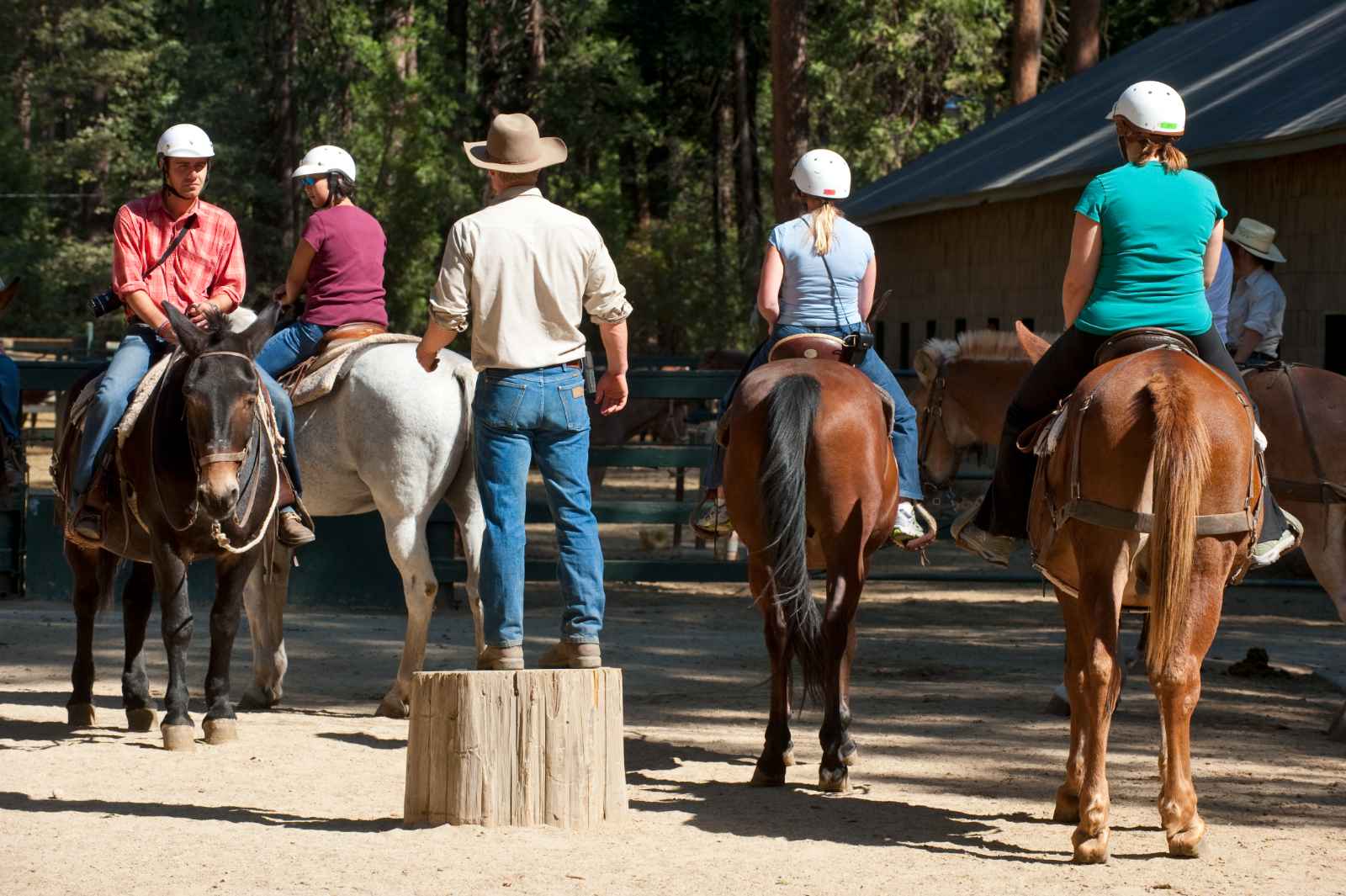 Las mejores cosas que hacer en Hollywood California Sunset Ranch Hollywood