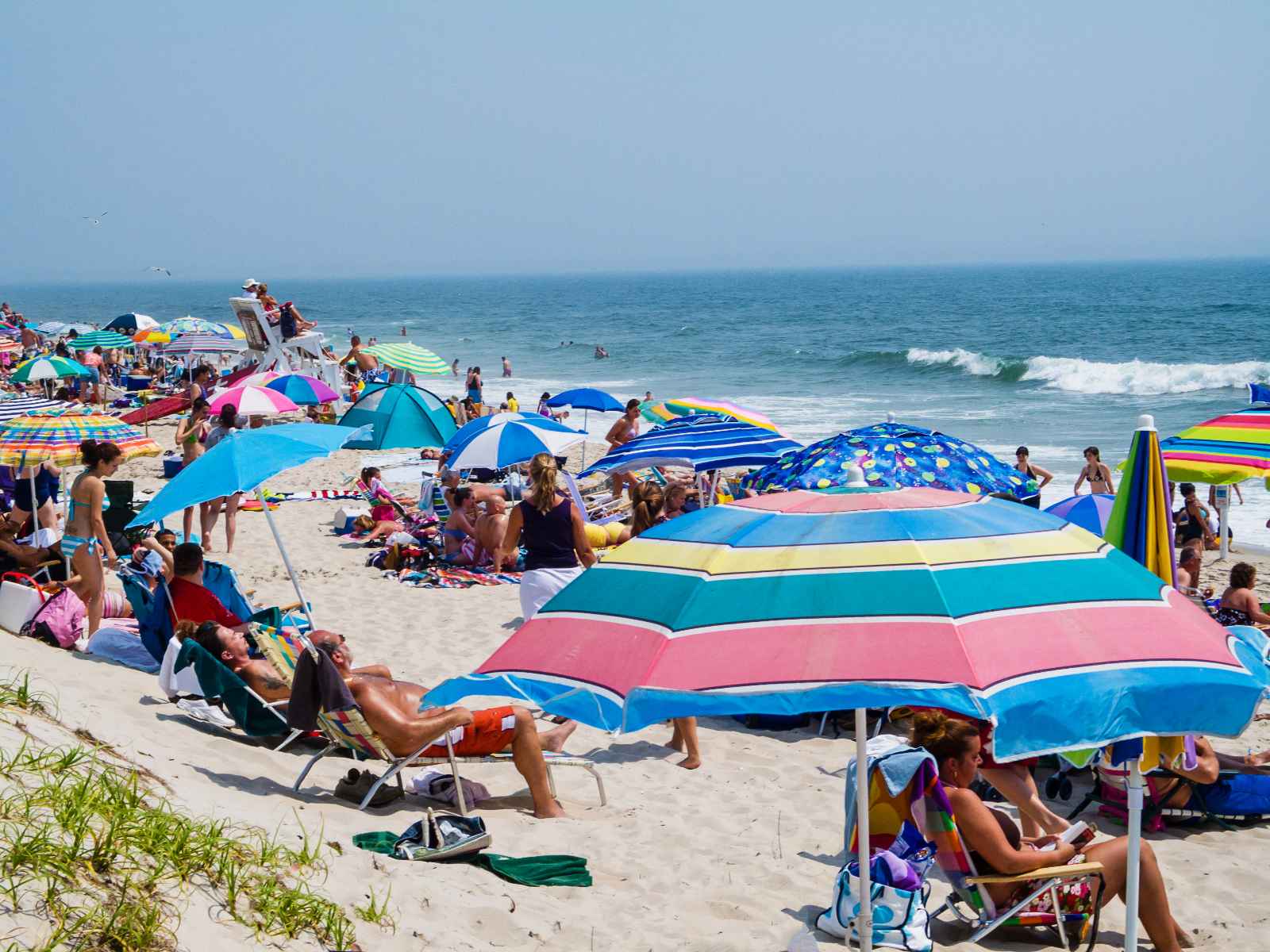 Las mejores cosas que hacer en New Jersey Island Beach State Park