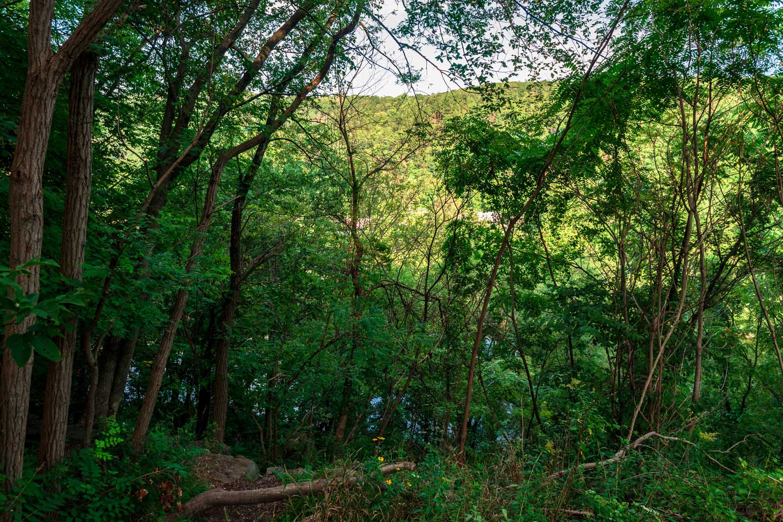 Una hermosa vista panorámica del área recreativa nacional de Delaware Water Gap, una de las mejores cosas que hacer en Nueva Jersey