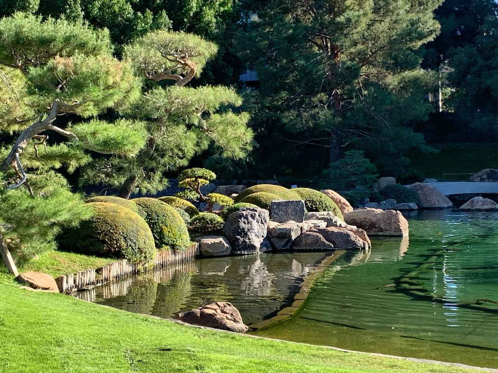 Las mejores cosas que hacer en el estanque del jardín de la amistad japonesa de Phoenix