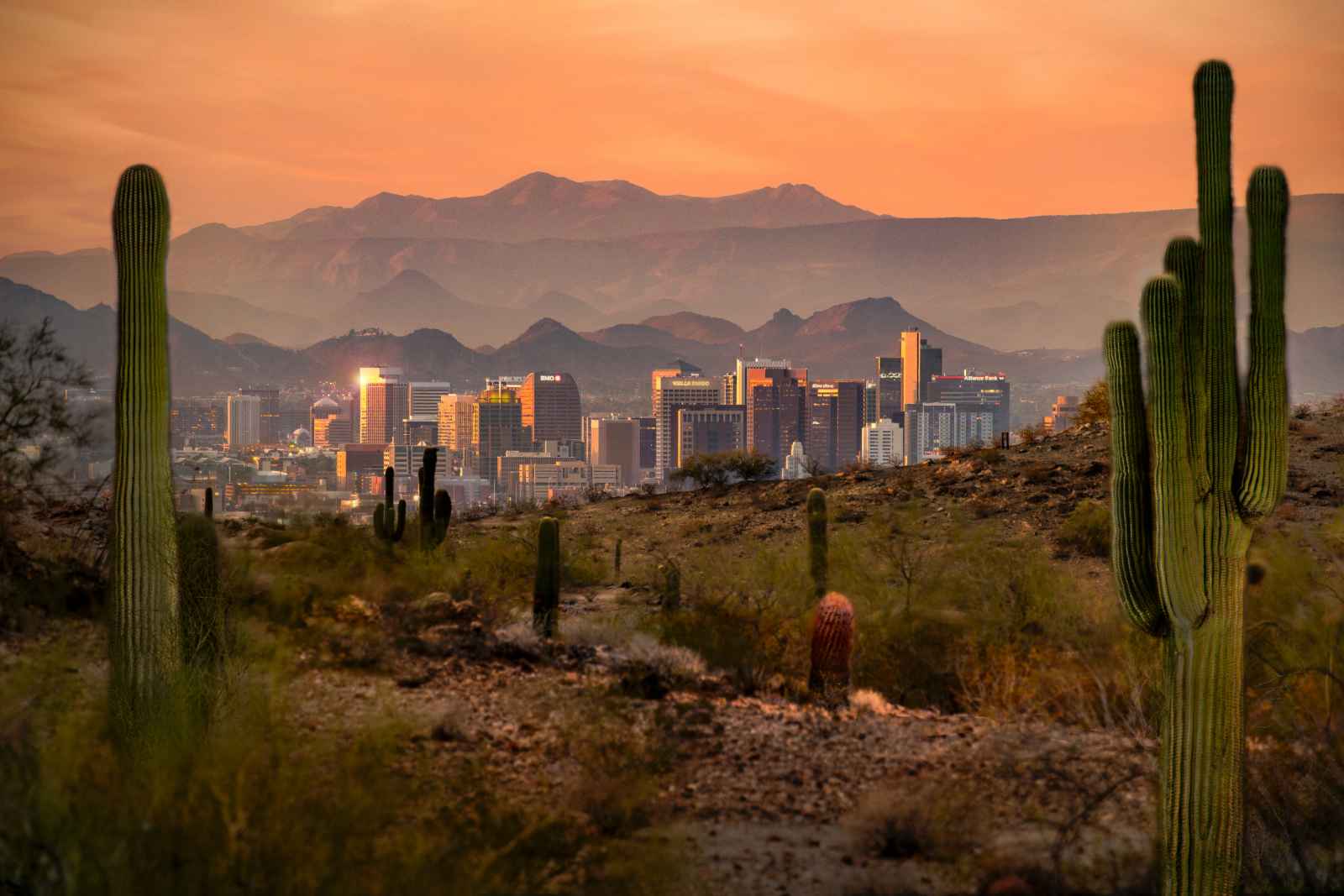 Las mejores cosas que hacer en Phoenix South Mountain Park and Preserve