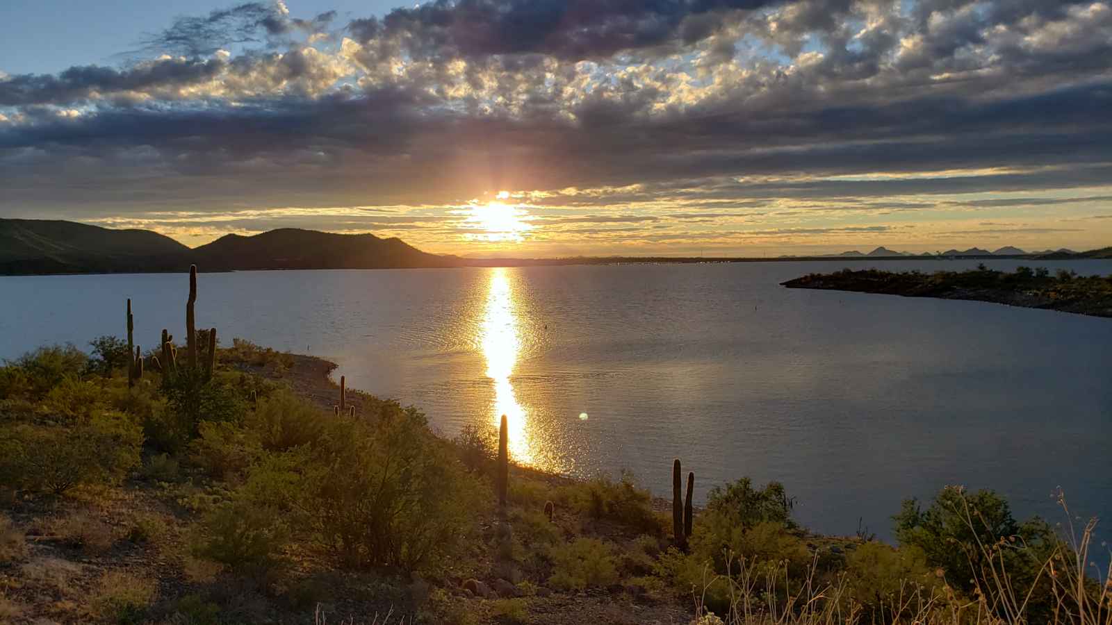 Las mejores cosas que hacer en Phoenix Lake Pleasant Regional Park