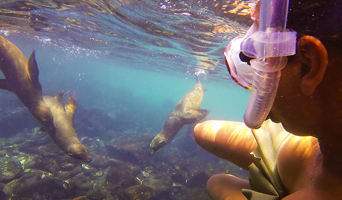 Snorkel con brezo en las islas Galápagos