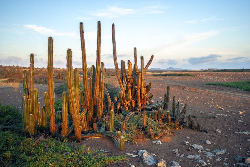 Parque nacional de Washington Slagbaai