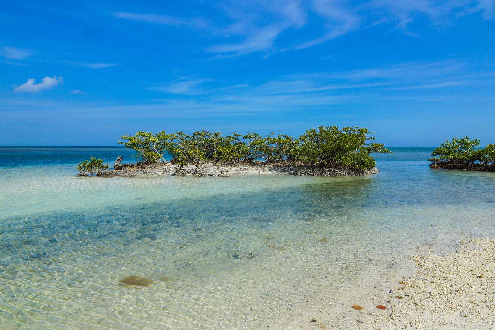 Escapadas de fin de semana en el Parque Nacional de Florida Biscayne