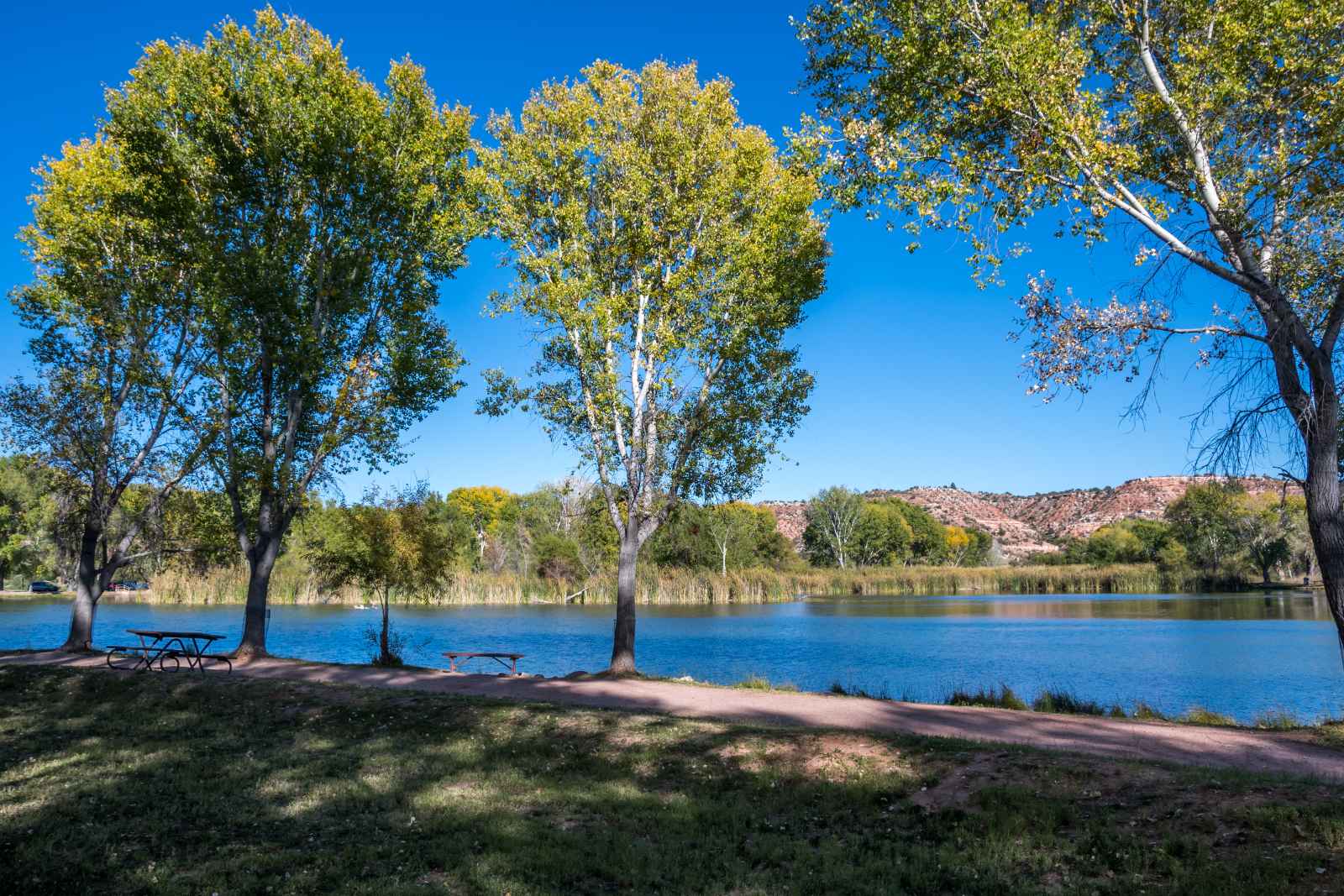 Mejores parques estatales de Arizona Dead Horse Ranch State Park