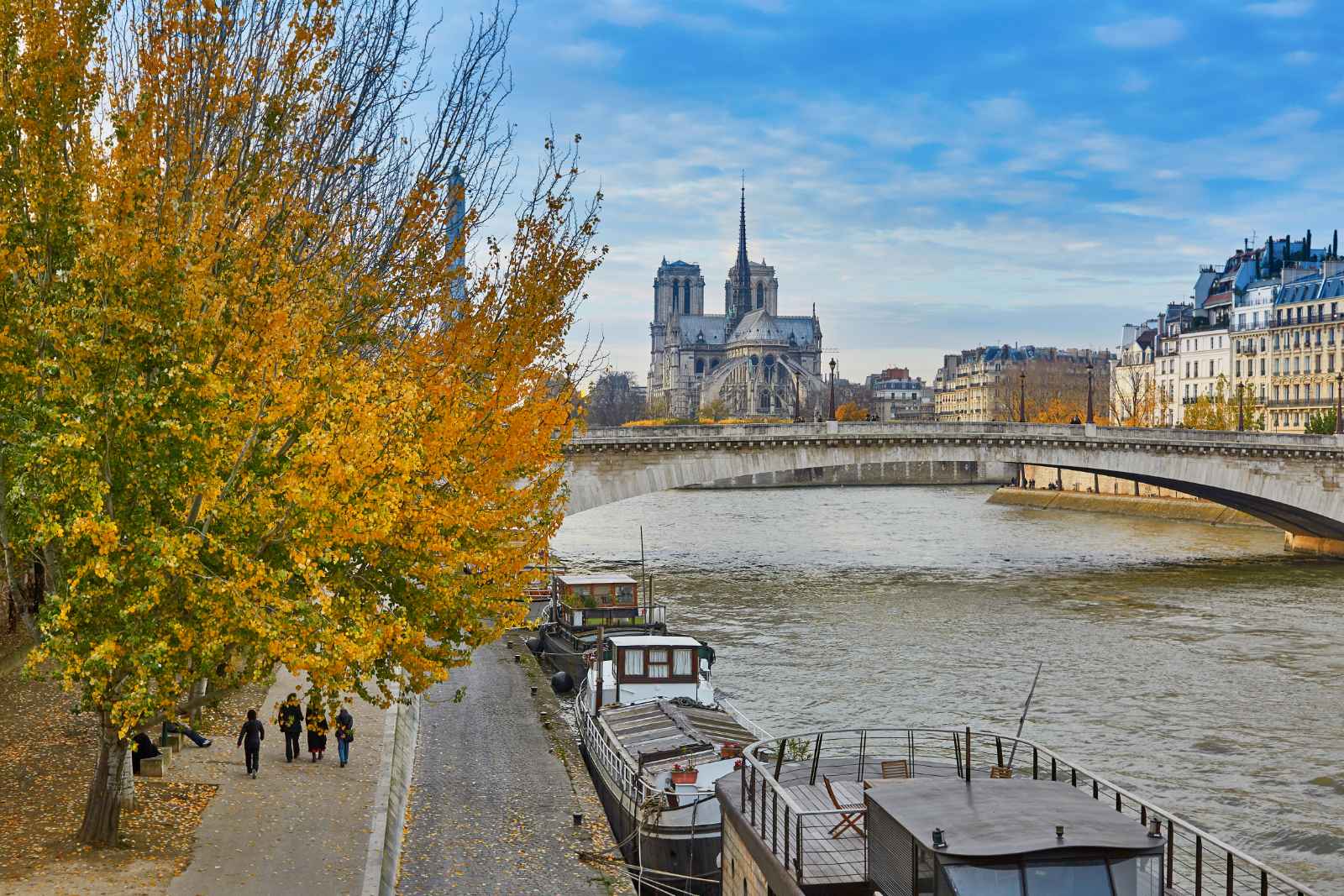 París en octubre Notre Dame de París Otoño