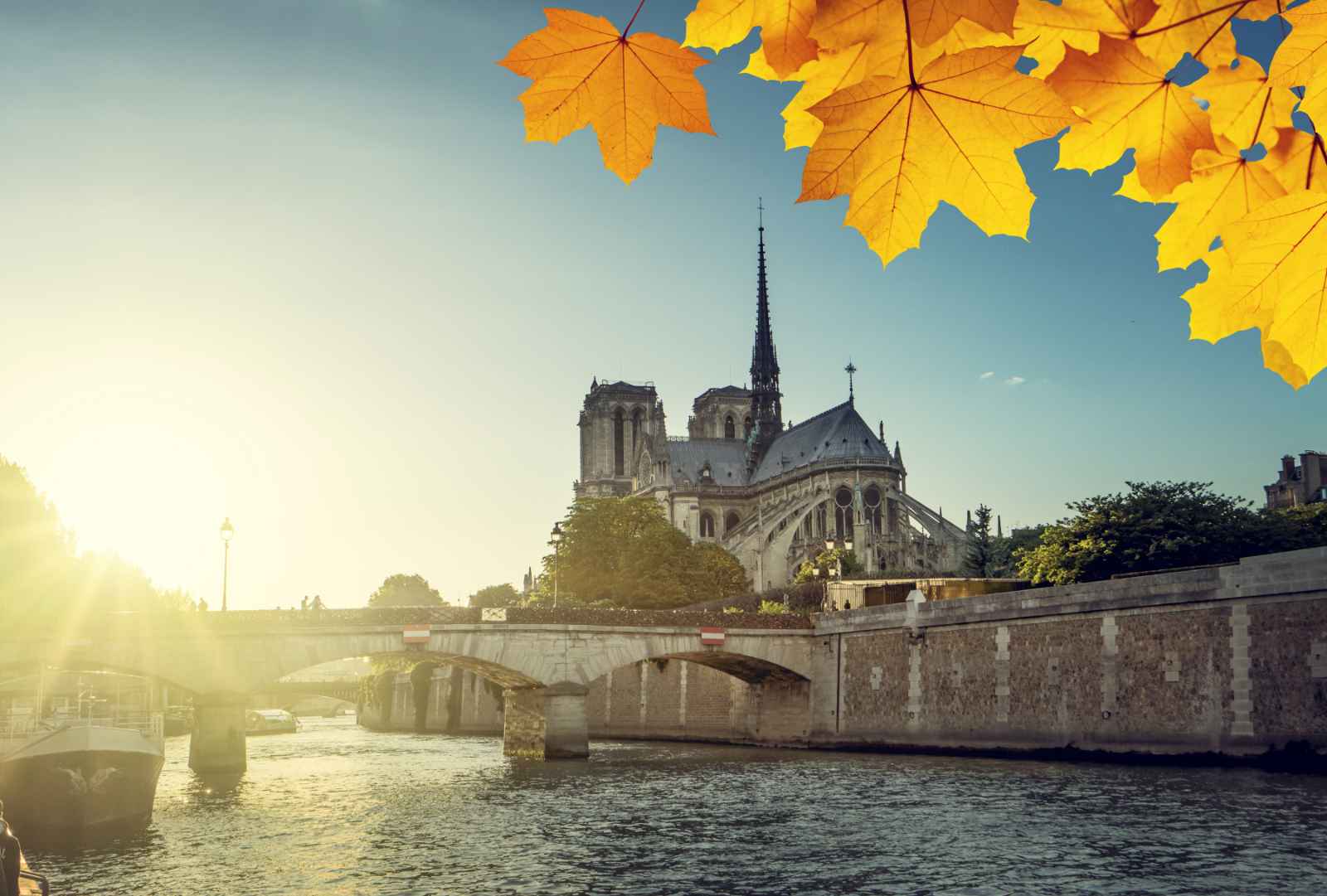 París en octubre Notre Dame de París y hojas de otoño