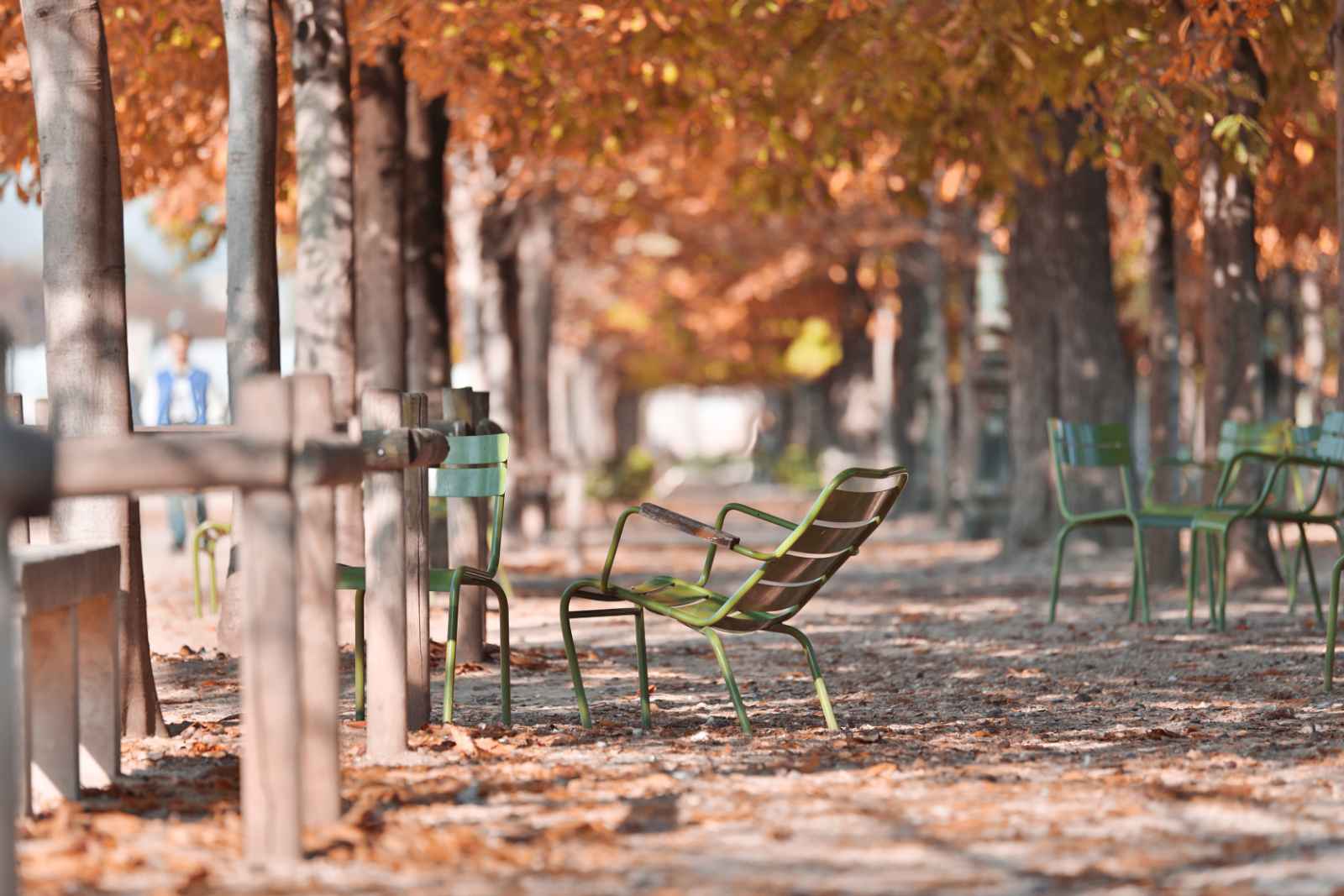 París en octubre Otoño en París Jardín de las Tullerías