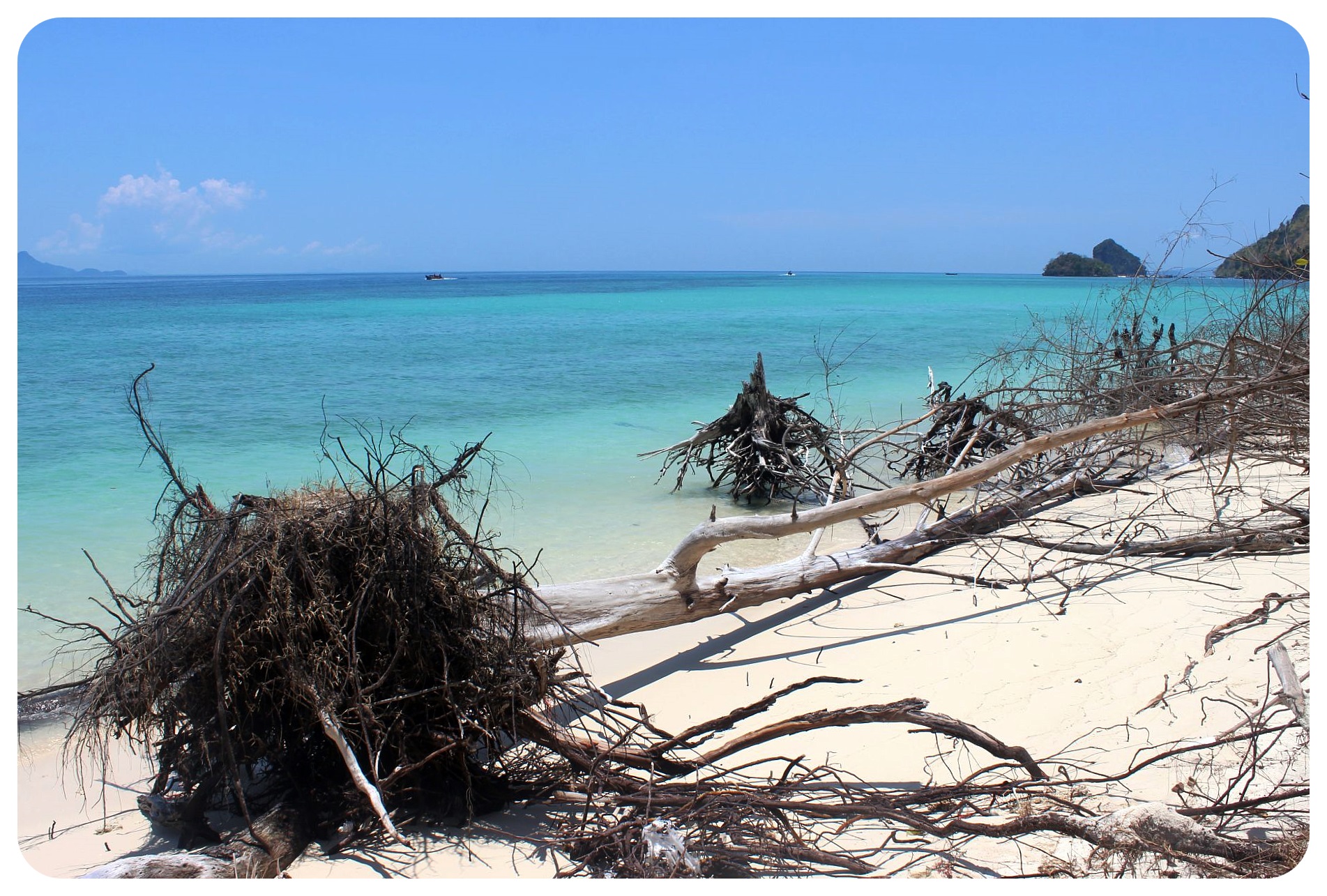 troncos de árboles y playa de koh poda