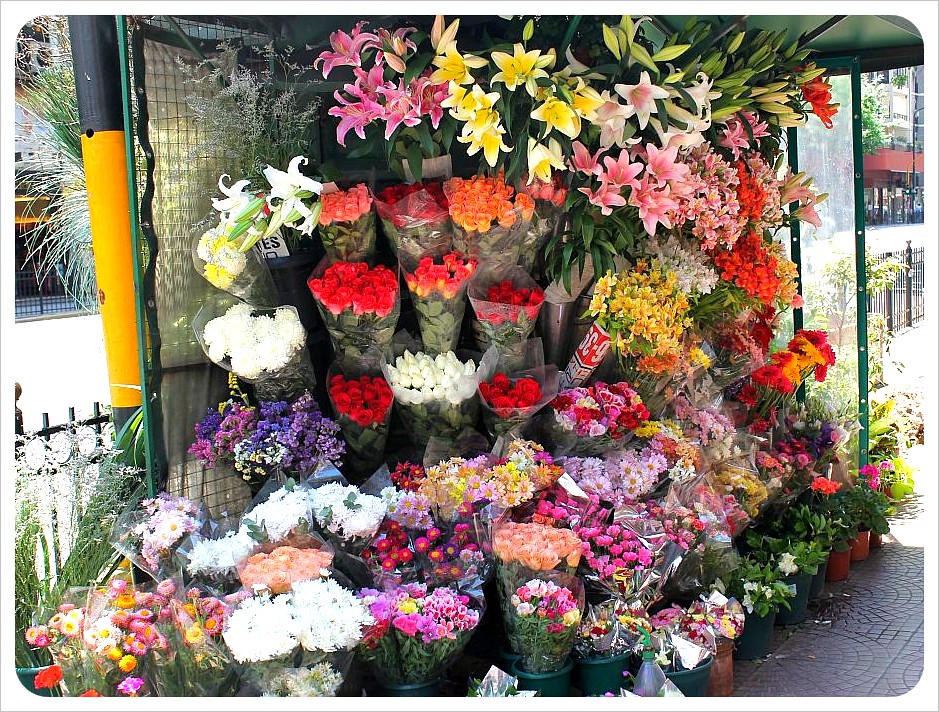 vendedor de flores a buenos aires